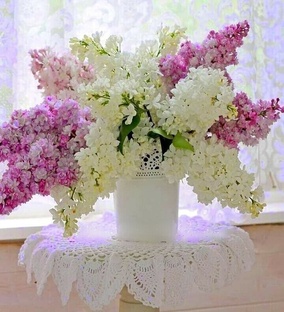 Поздравления