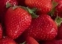 Растения. Садоводство. Разное для дачи. 