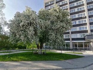 Город Глазов белой птицей над рекой