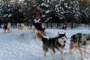 Зимние путешествие по Югре