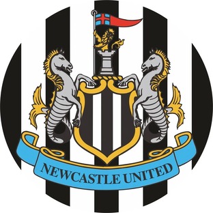 Карьера за Newcastle