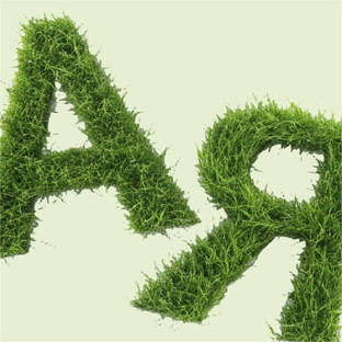 База: от А до Я