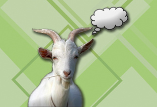 💭 Интересный факт...