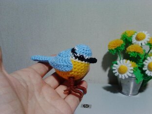 ПТИЦЫ, ДРАКОНЫ, ЛЕТАЮЩИЕ и КРЫЛАТЫЕ