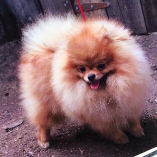 Вязание из пуха, джута и др.