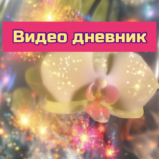 ВИДЕОДНЕВНИК