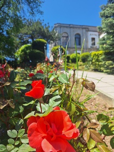 юсуповский дворец и парк