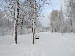 Красивая природа города Тосно Ленинградской области