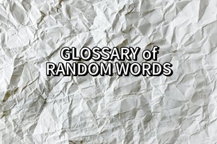 Глоссарий рандомных слов