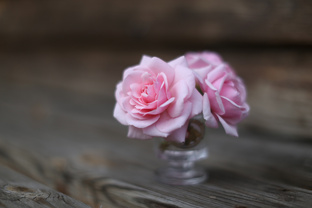 История одной фотографии