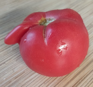 Прикольные фотки