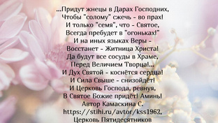Пятидесятница - ВИДЕО проповеди