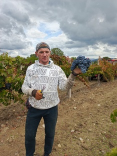 Робобота в полн