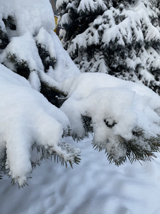 Ароматы на зиму ❄️☃️🌨️