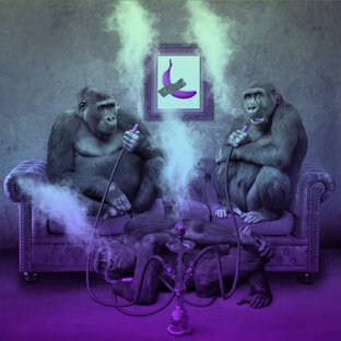 Табак для кальяна 