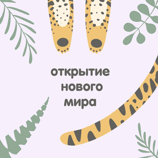 Наши питомцы