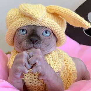 Житие мое...