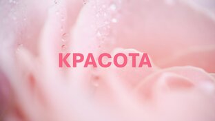 Красота