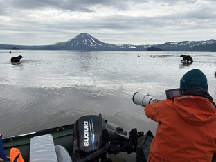 Живые истории