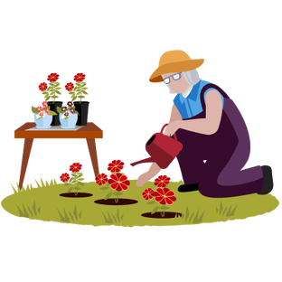 Сад и огород