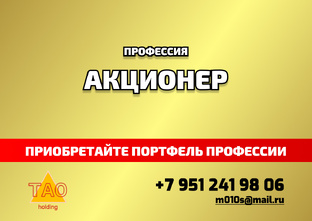 П-9 Профессия АКЦИОНЕР Портфель 