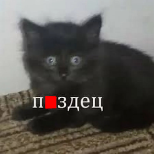 Кошмарю Алису п.и.з.д.е.ц.о.м.