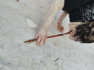 видео про животных 🐾 2 часть 