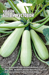 КАБАЧКИ