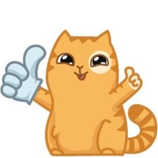 Кошячие видео и статьи