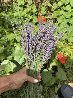 Закулисье .