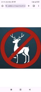 Стоп алень! 