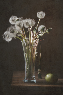 Натюрморты