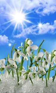 Все об энергии