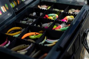 Ареа ловля форели