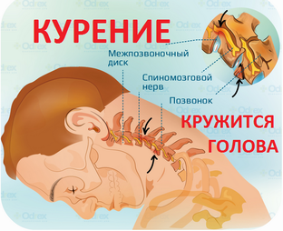 Кружится голова? Шумит в ушах? Куришь? 