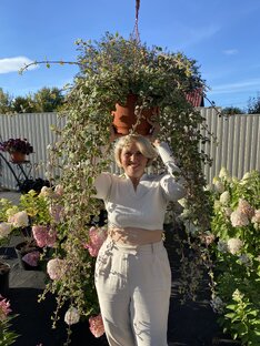 Декоративнолиственные растения