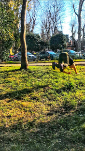 Паркур - Воркаут