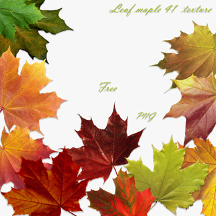 Текстуры растений и не только