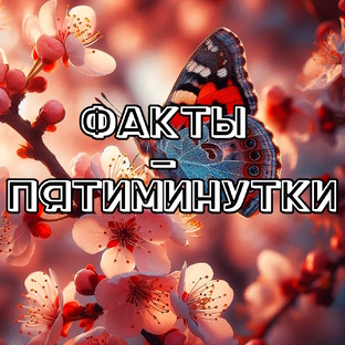 🌸Факты-пятиминутки🌸