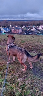 Вау-истории