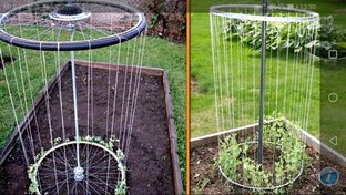 Идеи для дачи 