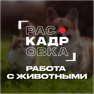 Работа с животными