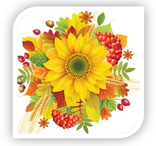 Прекрасный возраст 50 +