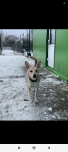 Матильда Михайловна 