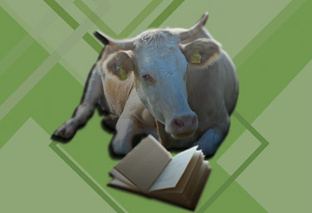 Статьи о животных