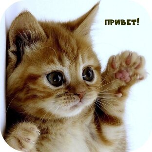 Обо мне