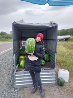 Семейная бахча