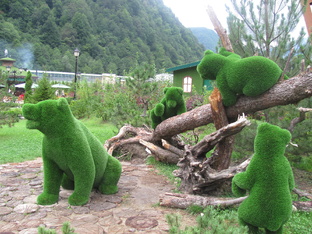 Интересное в России.