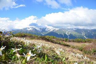 ТУРЫ - ЭКСКУРСИИ