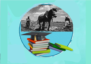 Научная деятельность